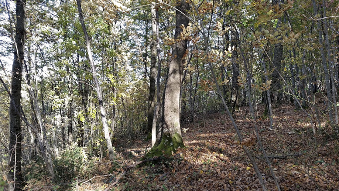 j9