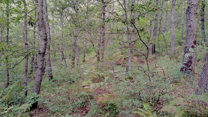 se1