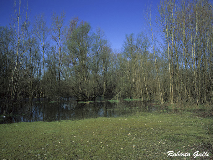 parc