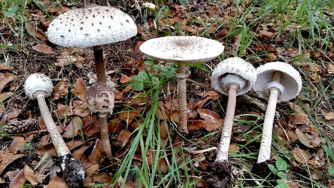 oltre3