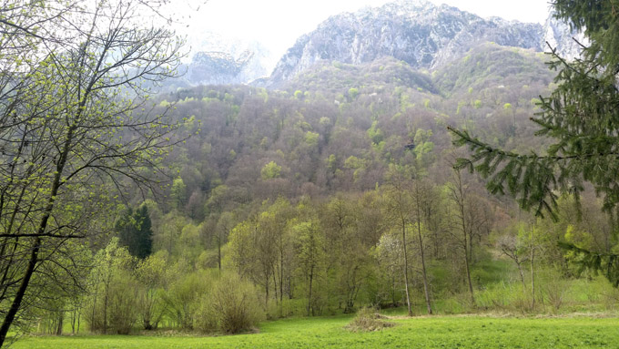 vals3