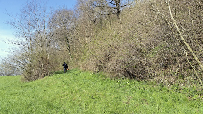v7